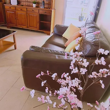 Sunrise Beach Apts. Apartament *